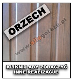 ORZECH