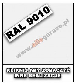 RAL 9010