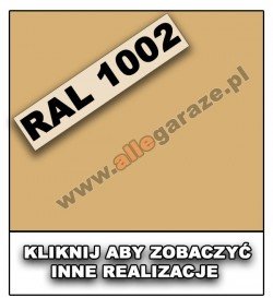 RAL 1002