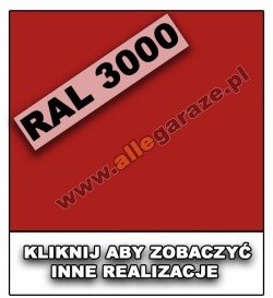 RAL 3000