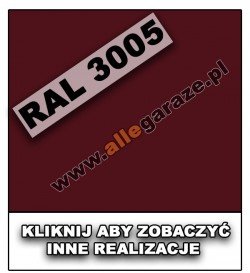 RAL 3005