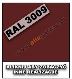 RAL 3009