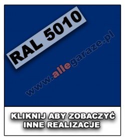 RAL 5010