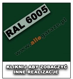 RAL 6005