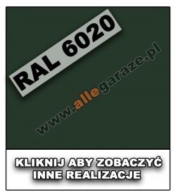 RAL 6020