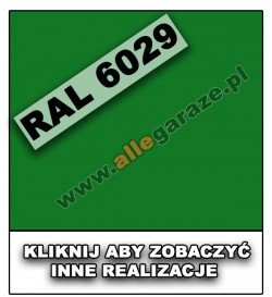 RAL 6029