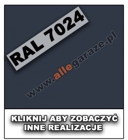 RAL 7024