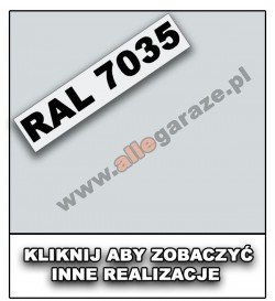 RAL 7035