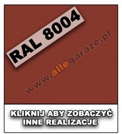 RAL 8004