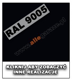 RAL 9005