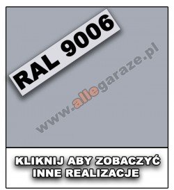 RAL 9006